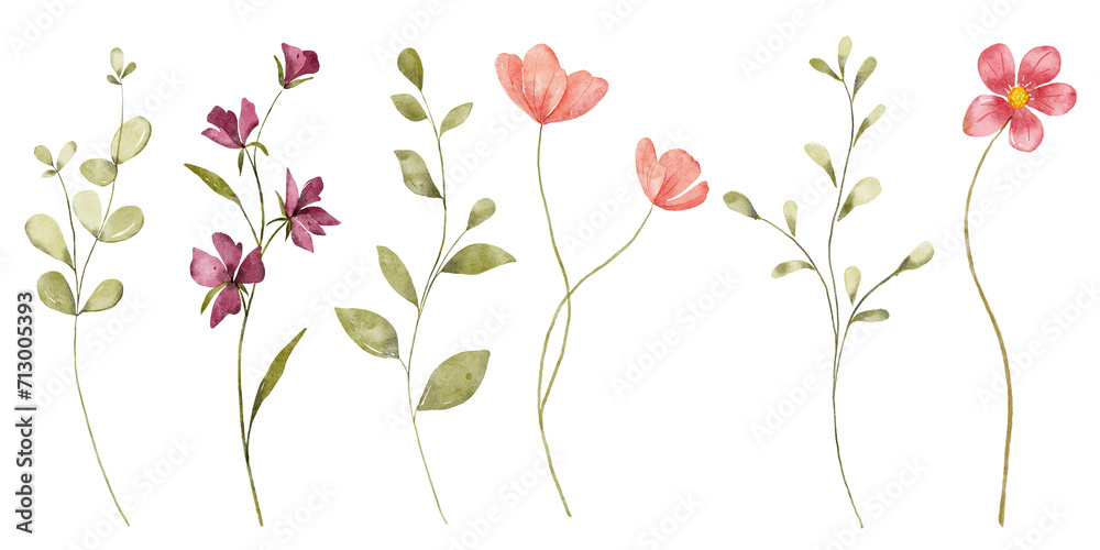Flowers, leaves set, watercolor hand drawing, digital botanical illustration. Floral banner border.	