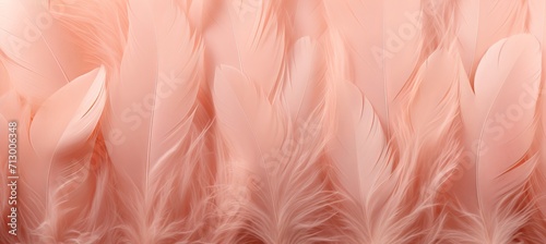 Trendy peach feather texture background, abstract fluffy close up, color of the year 2024