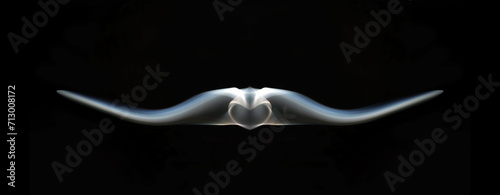 Symmetrical abstract photography of shapes acquired by smoke on a black background.