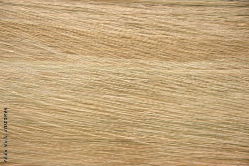 Naklejka premium Stretch film on a pack of cardboard