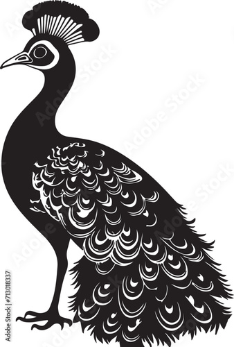 vector tracing   peacock