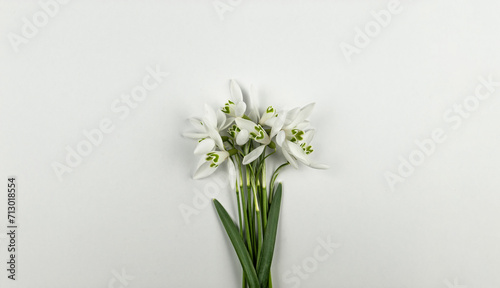 Top view of white snowdrops on white background. Spring flowers flat lay. Copy space.