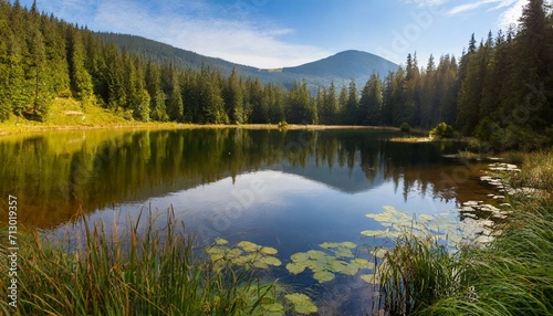 Beautiful mountain lake in Sunny summer day. © ilolab