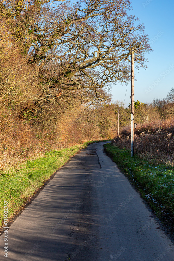 A view along a rural road in the Sussex countryside, on a sunny day in January