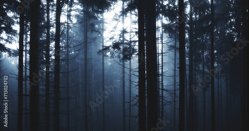 Mystic foggy dark blue forest trees.