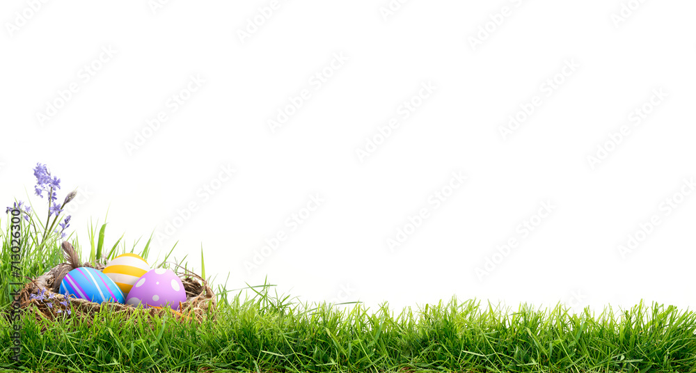 A blank template of three painted easter eggs in a birds nest celebrating a Happy Easter on green grass and isolated on transparent background.