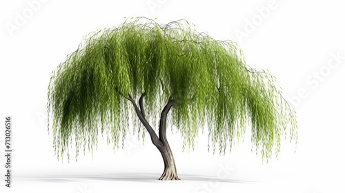 Green Willow Tree Standing Alone, Symbolizing Peaceful Solitude, generative ai