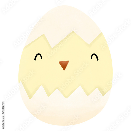 Baby chick in easter egg