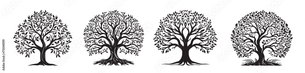 Obraz premium set of trees silhouettes black vector shape