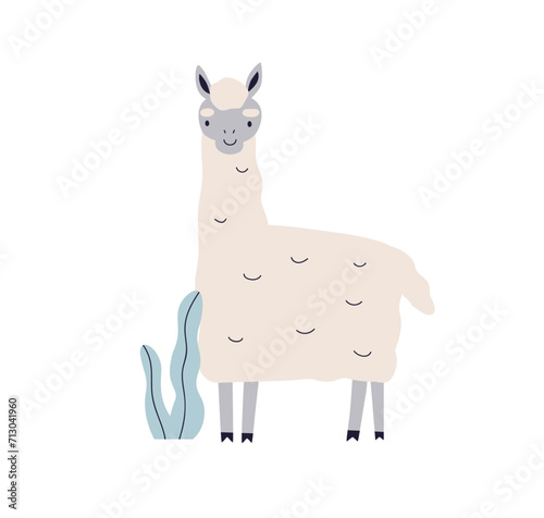 Cute llama. Happy kawaii animal in kids Scandinavian style. Exotic lama chara...