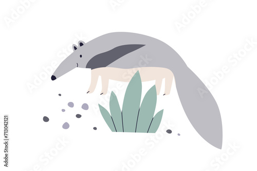 Cute anteater. Funny antbear animal in nature. Exotic fauna in kids kindergar...