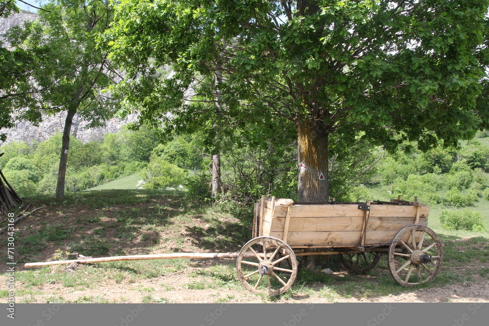 An aged, weathered wooden wagon rests silently beneath the shade of a majestic tree, holding stories of past adventures.