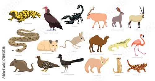 Different types of Desert Animals set cartoon collection  various hot environment habitat species animals wildlife  vector illustration  suitable for education poster infographic guide catalog flat
