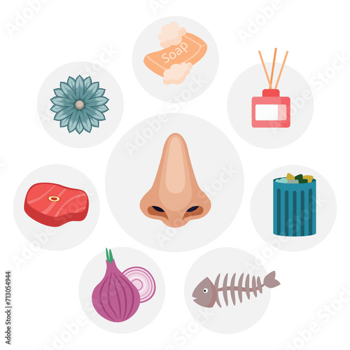 Smell Sense, Human Sense Nervous System Feeling Icon Collection with soap, bubble, aromatherapy,  scent, bottle, trash, fish bone, onion, meat, steak, flower, nose Anatomy Human Body Part