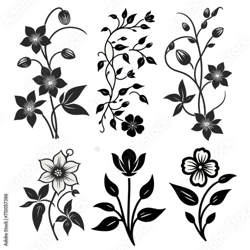 collection of beautiful and beautiful creeping flowers in black and white 