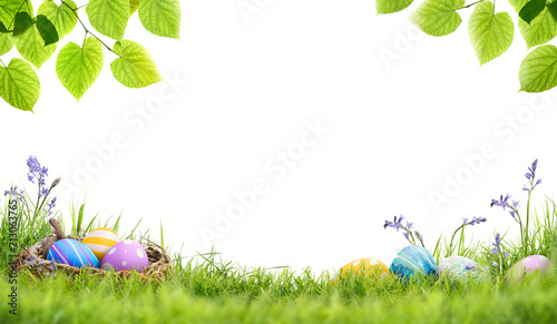 A blank template of painted easter eggs in a birds nest and painted eggs in lush green grass, bluebells and green tree leaves to celebrate a Happy Easter isolated on transparent background.