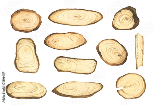 Set of wooden slice illustration. Wooden signboard. Tree trunk cross section. Hand painted wooden texture board. Tree rings. Rustic natural eco design for wedding, cards, invitations. Watercolor style