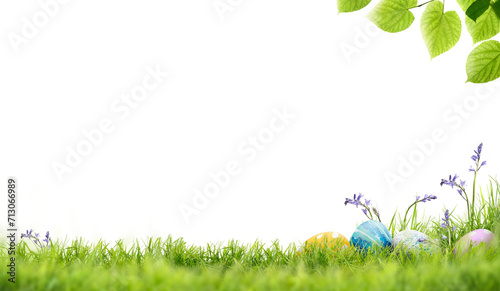Obraz na płótnie A blank template of a line of painted easter eggs in lush green grass, bluebells and green tree leaves to celebrate a Happy easter isolated on transparent background
