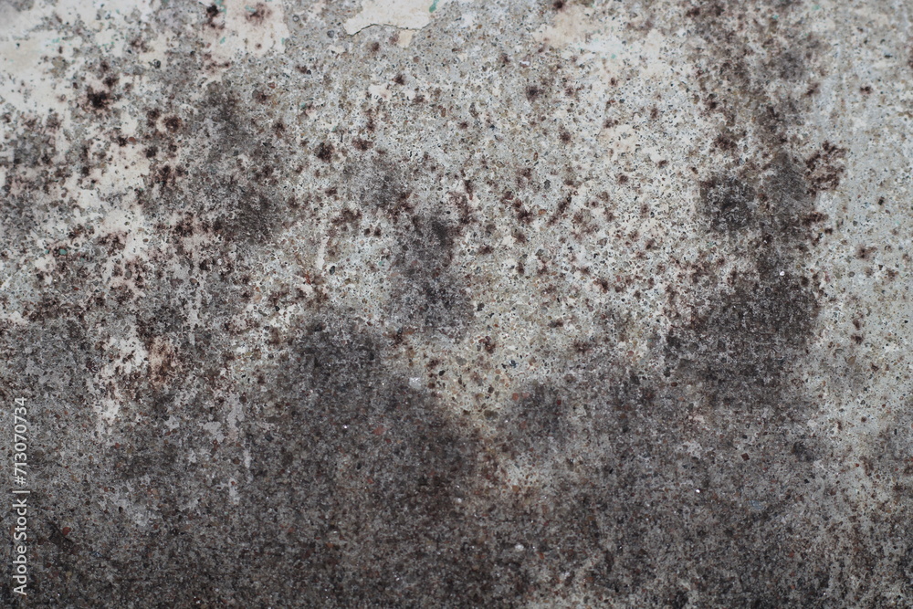 mold on the concrete wall mold on the concrete wall