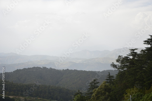 Mountains, greenery, tea estate and nature