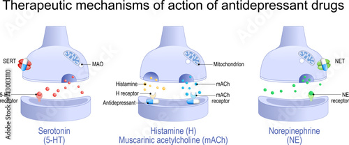 action of antidepressant drugs