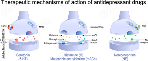 action of antidepressant drugs photo