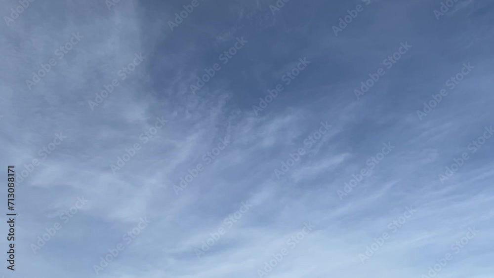 Seagulls are flying in the blue sky, Slow Motion. Seagulls are flying in the blue sky, Slow Motion.