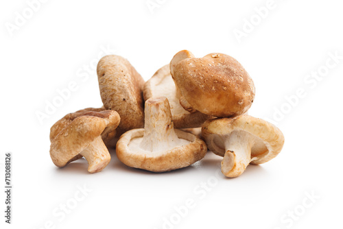 Fresh shiitake mushrooms isolated on white background.