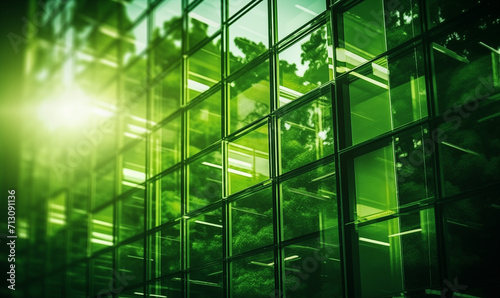 Environment friendly  business concept with office building windows in green color wit sun and tree reflections