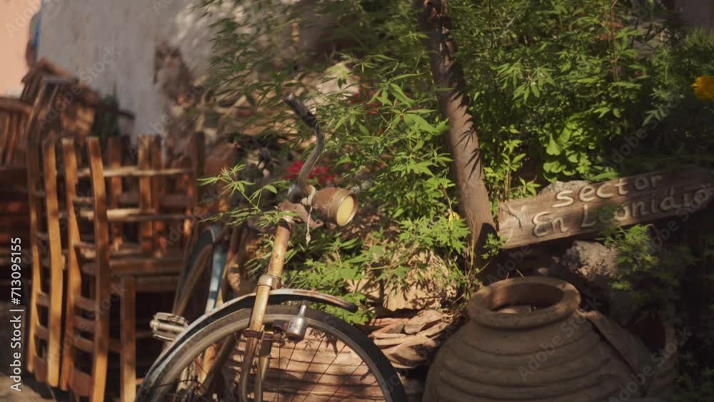 Frontal view of old orange bicycle with rustic antique light on front above fenders pushed against plants in the shade