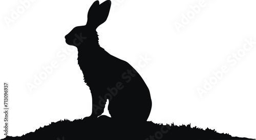 Rabbit illustration, Rabbit on the background of the forest, Bunny full length, Vector Illustration