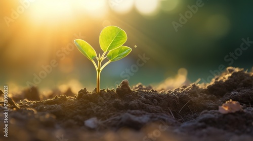 Young plant growing in soil against sunny background Agriculture Plant growth Generative AI