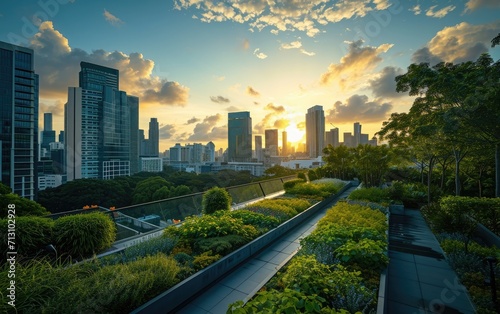 City Rooftop Gardens: Rooftops in the city adorned with vertical gardens, promoting sustainable urban living