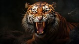 Detailed portrait of a roaring tiger's face, isolated on black background. generative ai Pro Photo