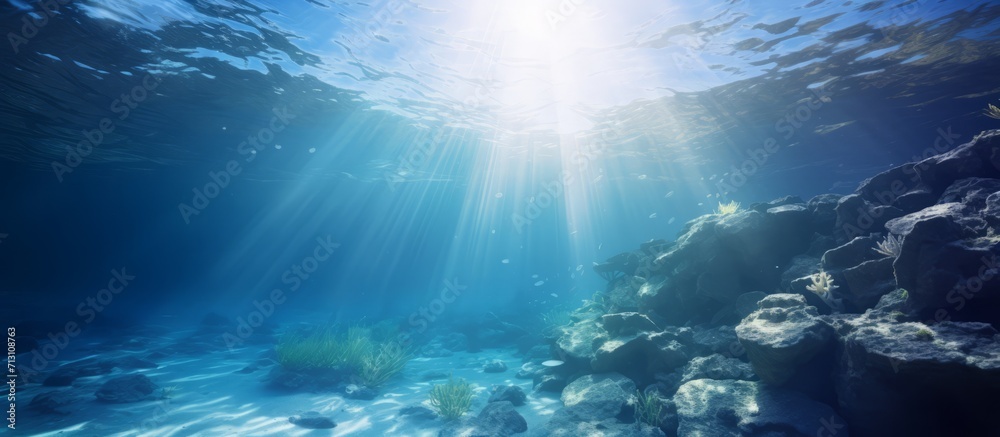 Fototapeta premium Sunlight Streaming Through Ocean Water in an Underwater Landscape