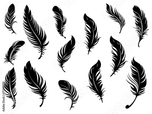Set of detailed majestic feather collection. Bird Feather black silhouettes. Plumelet collection. Vector isolated on white