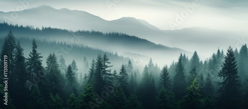 Misty Mountain Forest at Dawn with Ethereal Fog