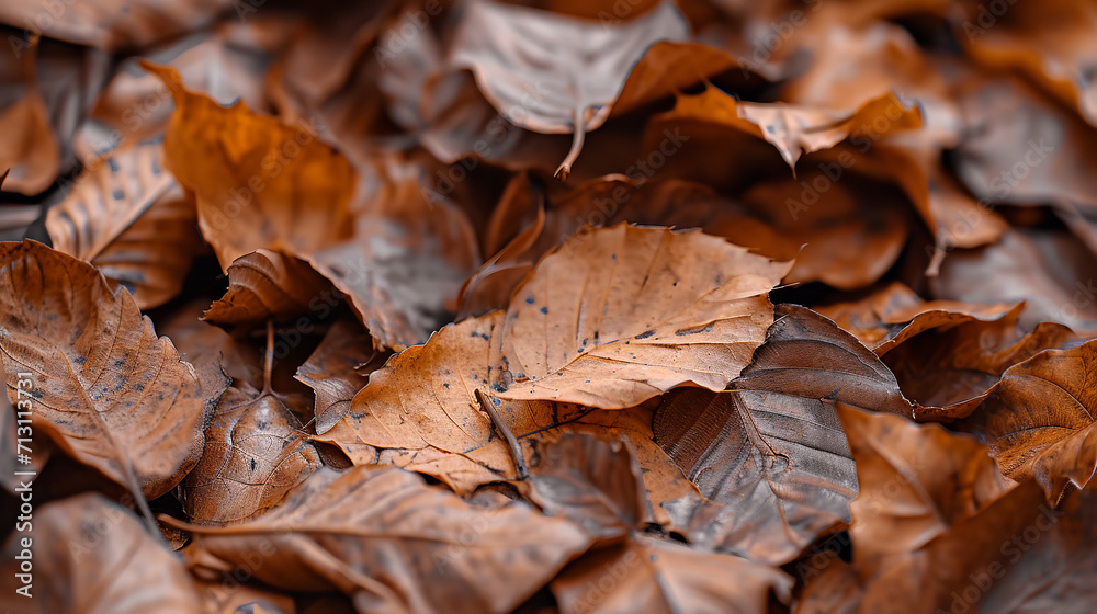 realistic macro photography of stacked dry leaves of different shades, autumn environment