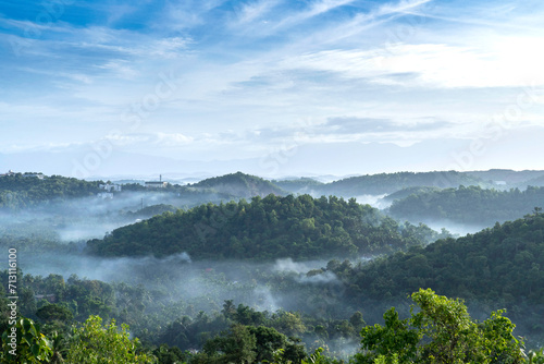 kodaikanal pine forest