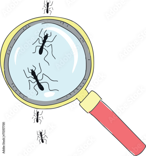 Examining ants with a magnifying glass.