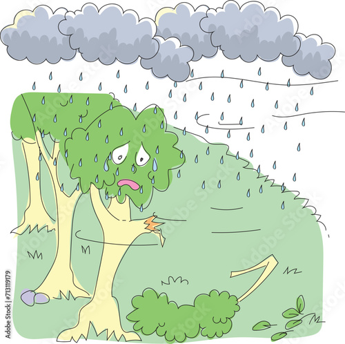 The tree whose branch is broken due to rain and wind is crying.