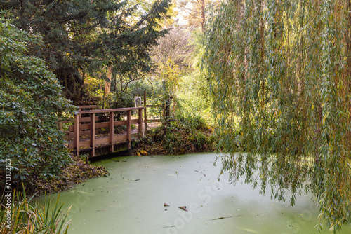 wooden bridge in a park with pond