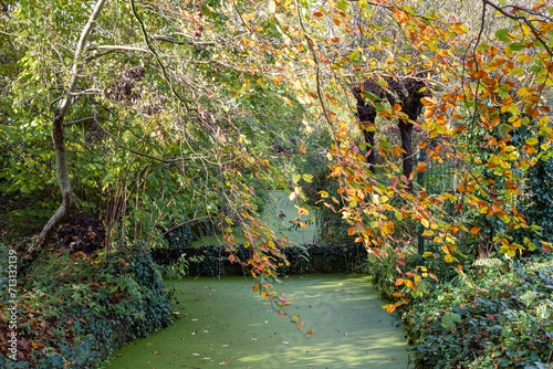 Green river in a park