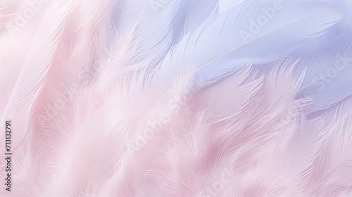 Beautiful and soft pastel color feather background delicate and elegant