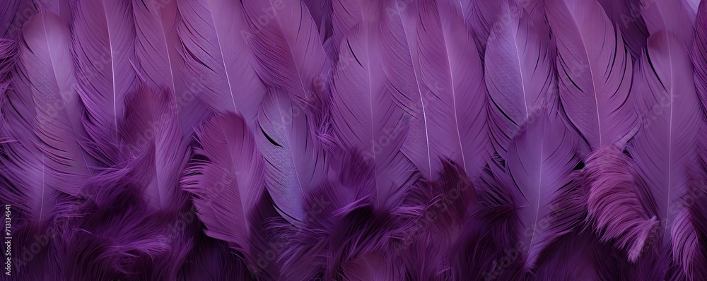 purple feather texture of different tones ,large background