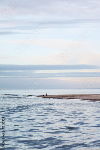 Widok na spokojne morze z ptakami w tle. A view of the calm sea with birds in the background.  © Adrianna