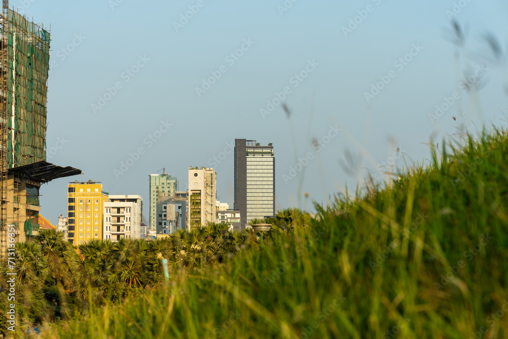 Fototapeta premium Grass in the city