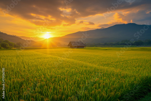 Sunset Radiance on Rural Farmland