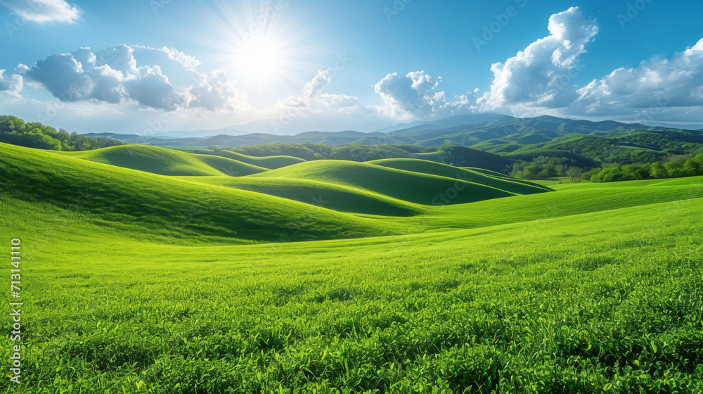 Naklejka premium Champs vert à perte de vue idéal fond pour site internet