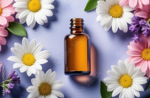 blank glass essence oil bottle with chamomile flowers, flatlay composition. natural cosmetics